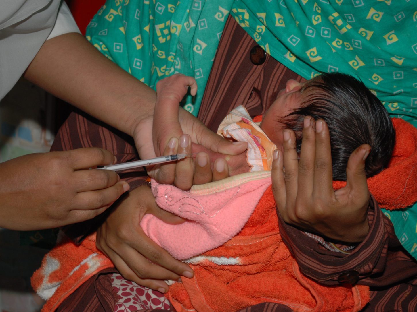 Immunology 4 DSC 0238 scaled